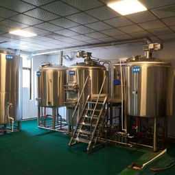 投資小型啤酒廠可以釀制幾種啤酒呢 公司動(dòng)態(tài) 北京史密力維環(huán)?？萍? class=